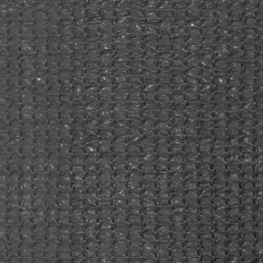 Outdoor Roller Blind 300x140 cm Anthracite